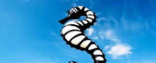 Presentazione al profumo di Mare: CESENA, 18 giugno Presentazione al profumo di Mare: CESENA, 18 giugno