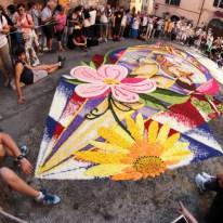 Infiorata di Spello