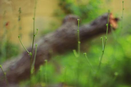 Freelensing, mon amour