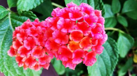 OOTD in black & white OOTD in black & white