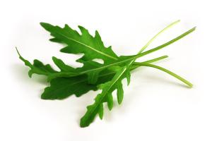 Rucola_a106068eb1