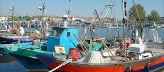 Sagra del pesce a Gorino di Goro per l'Italia nel piatto