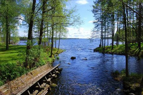 Finlandia e paesaggi: la verde natura che circonda il lago Saimaa