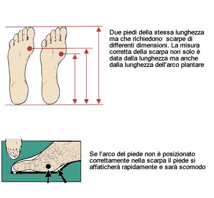 Come Acquistare La Scarpa Perfetta Per Il Tuo Piede