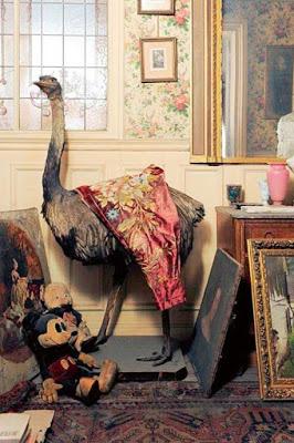 Il tempo ritrovato : storia di Madame de Florian e del suo appartamento Il tempo ritrovato : storia di Madame de Florian e del suo appartamento