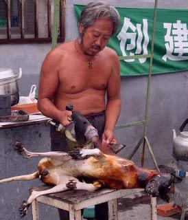Yulin, Cina: la strage di cani e il solstizio d'estate