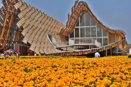 Padiglione Cina_Expo 2015_luOgoluNgo