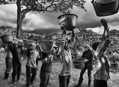 Sebastião Salgado. Profumo di sogno