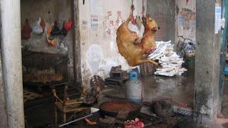 21 Giugno 2015: cani bolliti, spezzatino di gatto e mostri affamati 21 Giugno 2015: cani bolliti, spezzatino di gatto e mostri affamati