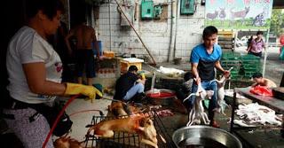 21 Giugno 2015: cani bolliti, spezzatino di gatto e mostri affamati 21 Giugno 2015: cani bolliti, spezzatino di gatto e mostri affamati