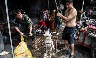 21 Giugno 2015: cani bolliti, spezzatino di gatto e mostri affamati 21 Giugno 2015: cani bolliti, spezzatino di gatto e mostri affamati