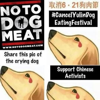 21 Giugno 2015: cani bolliti, spezzatino di gatto e mostri affamati 21 Giugno 2015: cani bolliti, spezzatino di gatto e mostri affamati