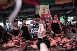 21 Giugno 2015: cani bolliti, spezzatino di gatto e mostri affamati 21 Giugno 2015: cani bolliti, spezzatino di gatto e mostri affamati