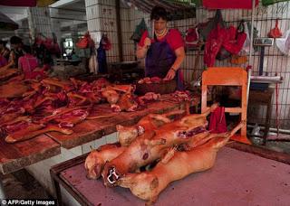 21 Giugno 2015: cani bolliti, spezzatino di gatto e mostri affamati 21 Giugno 2015: cani bolliti, spezzatino di gatto e mostri affamati