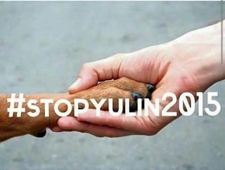 21 Giugno 2015: cani bolliti, spezzatino di gatto e mostri affamati 21 Giugno 2015: cani bolliti, spezzatino di gatto e mostri affamati