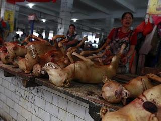 21 Giugno 2015: cani bolliti, spezzatino di gatto e mostri affamati 21 Giugno 2015: cani bolliti, spezzatino di gatto e mostri affamati