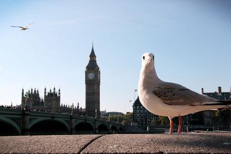 Vademecum per l’aspirante londinese – Trasferirsi a Londra