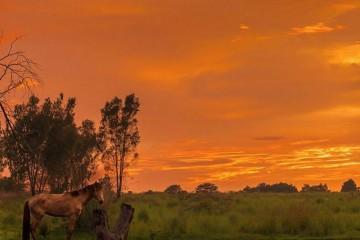 Il creatore di Shenmue guarda alla VR Il creatore di Shenmue guarda alla VR