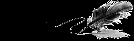 Novità: “Andare avanti” di H.J. Holt Anteprima