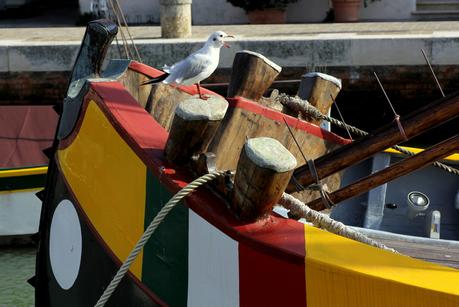 Composta di cipolle di Tropea e porri