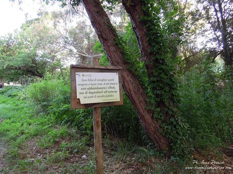 Incontro con la Sibilla alla Foresta di Cuma