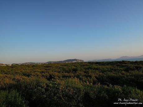 Incontro con la Sibilla alla Foresta di Cuma