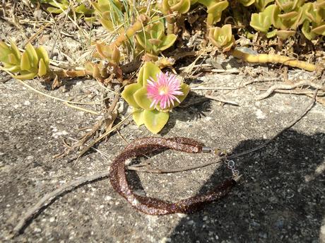 Marsala Color With A Touch Of Pink Powder