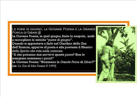 Le pume di giugno e il Maestro dello spirito che vola nella controra ▬