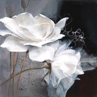 BIANCHE ALI...Costantino Posa BIANCHE ALI...Costantino Posa