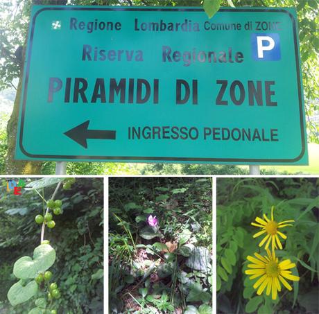 PIRAMIDI DI ZONE, GITA FUORIPORTA IN LOMBARDIA