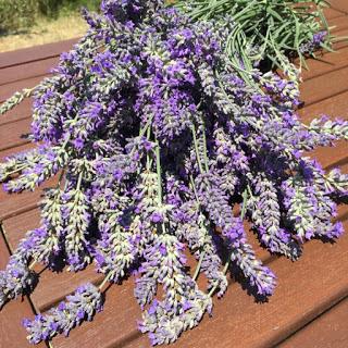 Meravigliosa lavanda!