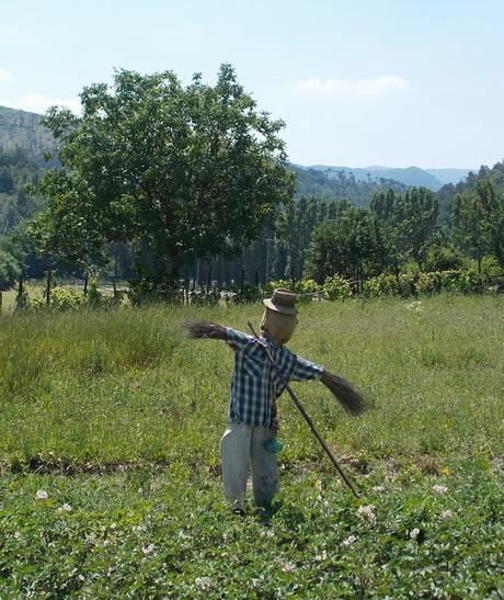 Casaleggio Boiro (AL)