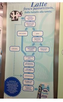 Latte: come si prepara dalla mucca alla tazza. Latte: come si prepara dalla mucca alla tazza.