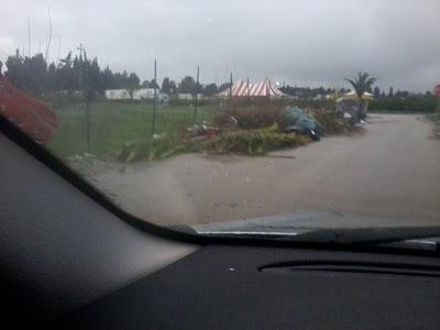 Abitudini scellerate Abitudini scellerate