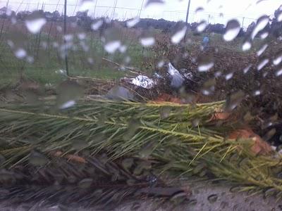 Abitudini scellerate Abitudini scellerate