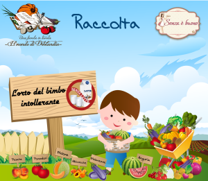 Crocchette di melanzane (senza lattosio e senza glutine): prima proposta per la Raccolta! raccolta-luglio