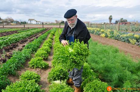 Nell'orto di Toni Montoliu | Visitare Valencia