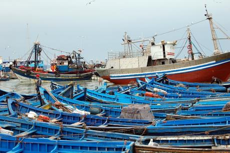 Il porto di Essaouira (foto di Patrick Colgan, 2010)