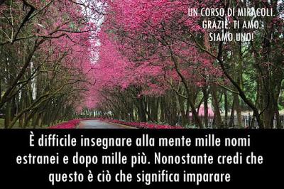 Il falso non può essere la verità e che ciò che è la verità non può essere falso. Parte 2.