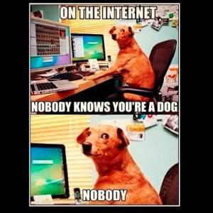 Di Tinder, cani che chattano e uomini con le tette Internet-Dog