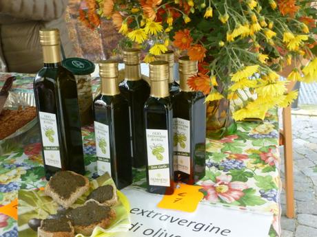 L’olivo in Piemonte Settimo Vittone (2)