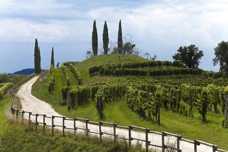 Vigne Museum Luigi Vitale