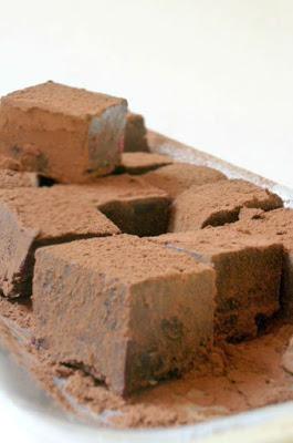 fudge al cioccolato, mirtilli e cacao