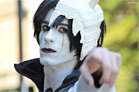 Il Nipponbashi e una Treviso giapponese. Il Nipponbashi e una Treviso giapponese.