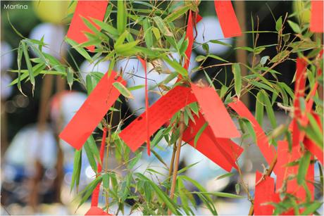 Il Nipponbashi e una Treviso giapponese. Il Nipponbashi e una Treviso giapponese.