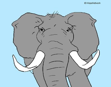Elefante-africano-animali-la-selva-dipinto-da-mattia747-1057368
