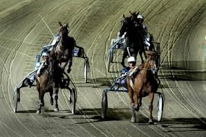 Ippica: allarme rientrato, a Vinovo si riparte l’8 luglio ippica - Vinovo