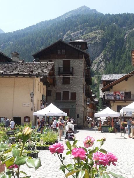 Blossom zine Gressoney Artemisia 2015 Blossom zine Gressoney Artemisia 2015 .1