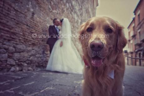 Wedding Dog Sitter - matrimonio a tre