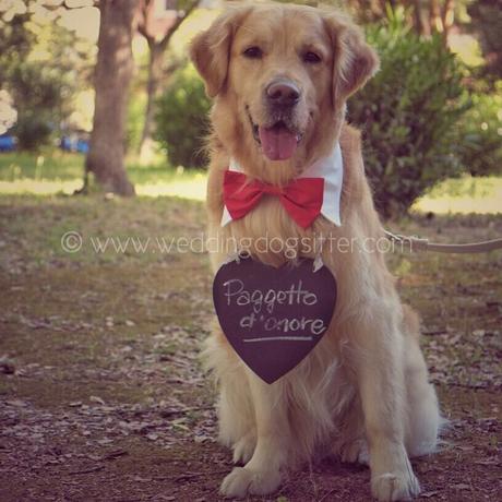 Wedding Dog Sitter - matrimonio a tre